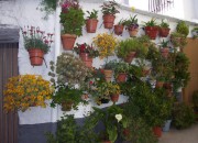Fachada típica alpujarreña