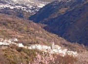 Mecina Bombarón en primavera
