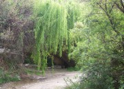 Merendero de Montenegro 2
