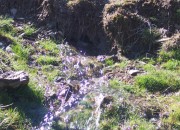 Nacimiento de agua