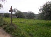 Sendero de Gerald Brenan 2