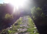 atardecer-calzada