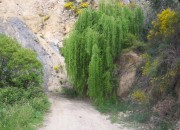 camino-a-montenegro
