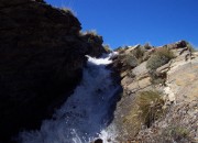 dcp_2116