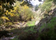 finca
